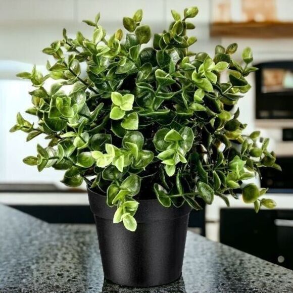 IKEA FEJKA Artificial Potted Plant Oregano 3 ½ " - Picture 5 of 7